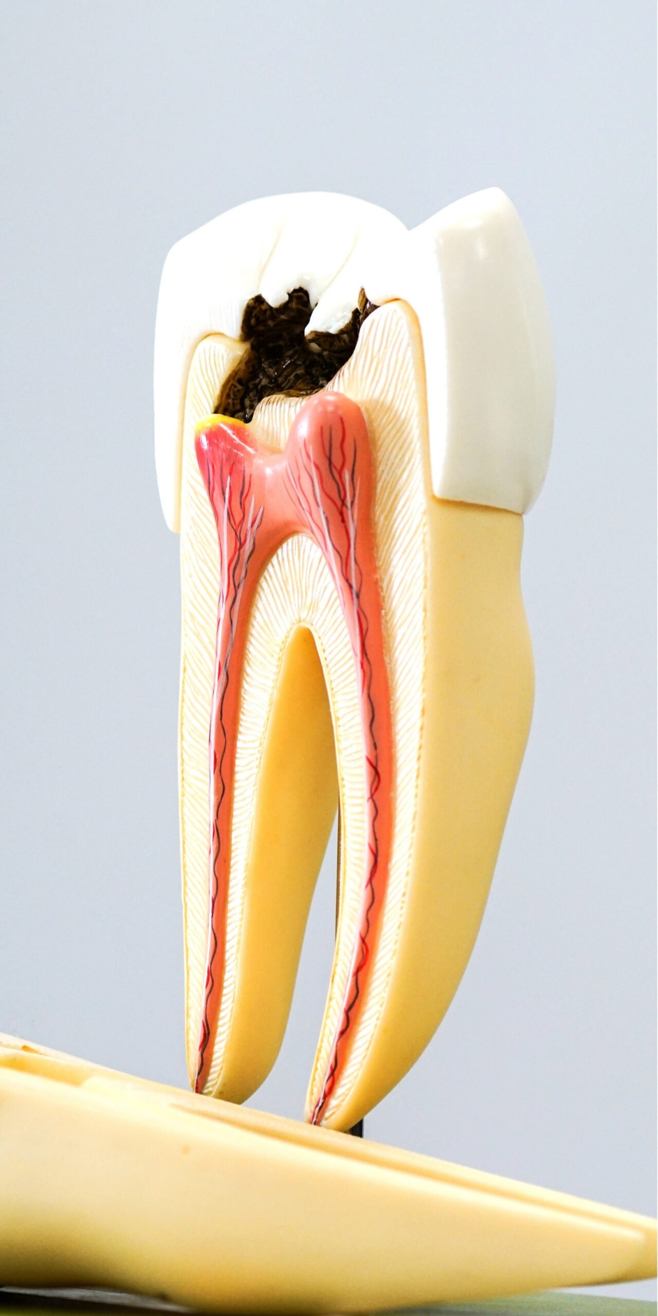bagcilar yuzyil acil dis tedavisi bilgilendirme